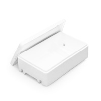 Polystyrene boxes