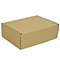 Brown postal boxes - 290x208x95mm (11.5x8.25x3.75 inches) - pack of 50