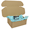 Brown postal boxes - 375x255x150mm (14.75x10x6 inches) - pack of 50