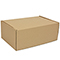 Brown postal boxes - 375x255x150mm (14.75x10x6 inches) - pack of 50