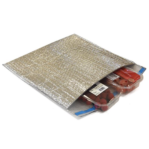 Temperature Controlled Pouches Kite Packaging