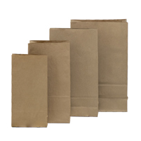 brown paper bags hero 2 - Medium