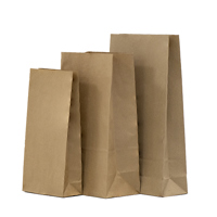 brown paper bags icon - Medium