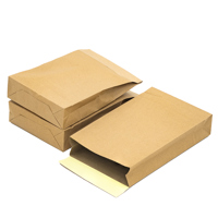 paper mailing bags lr - Medium