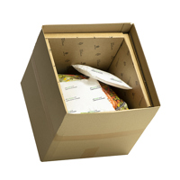 Ice Sheets & Reusable Gel Packs/Water Packs | Chilled Packaging | Kite ...