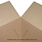 Double wall cardboard boxes - Image 3 - Small